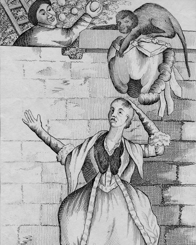 Slight of hand by a Monkey - or the Ladys head unloaded', circa 1812. (W. Davison, Alnwick, circa 18...