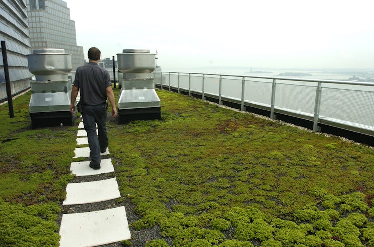 UNITED STATES - JULY 05:  Green roofs in Battery Park ., - The green roof on the 29th floor of the S...