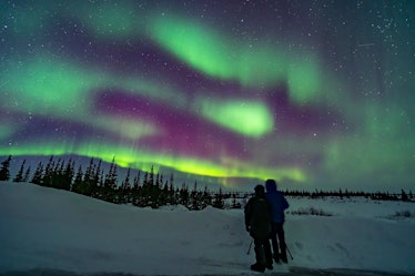 A couple who were participants in the Learning Vacations program at the Churchill Northern Studies C...