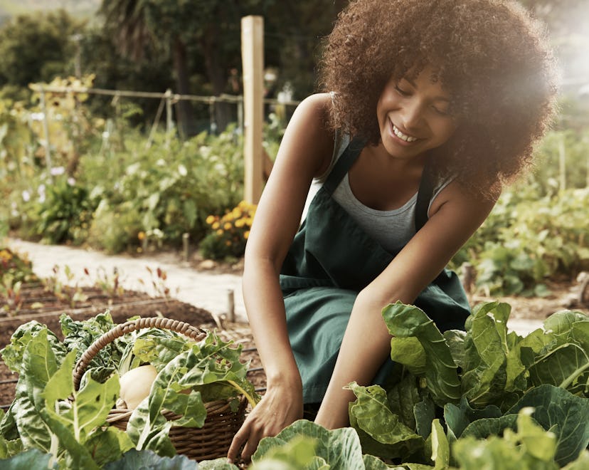 Shot of a young woman working in a vegetable garden for article about gardening gifts