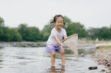 A little girl plays in the water of a stream with a net for catching fish. She has pigtails and is s...