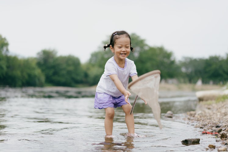 A little girl plays in the water of a stream with a net for catching fish. She has pigtails and is s...