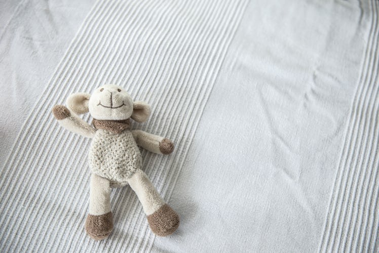 A stuffed animal.