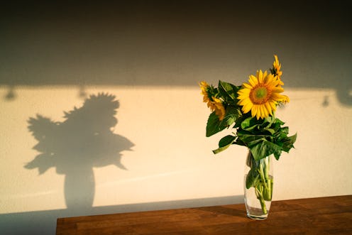 Sunflowers stand in glass vase on table on wooden veranda during sunset