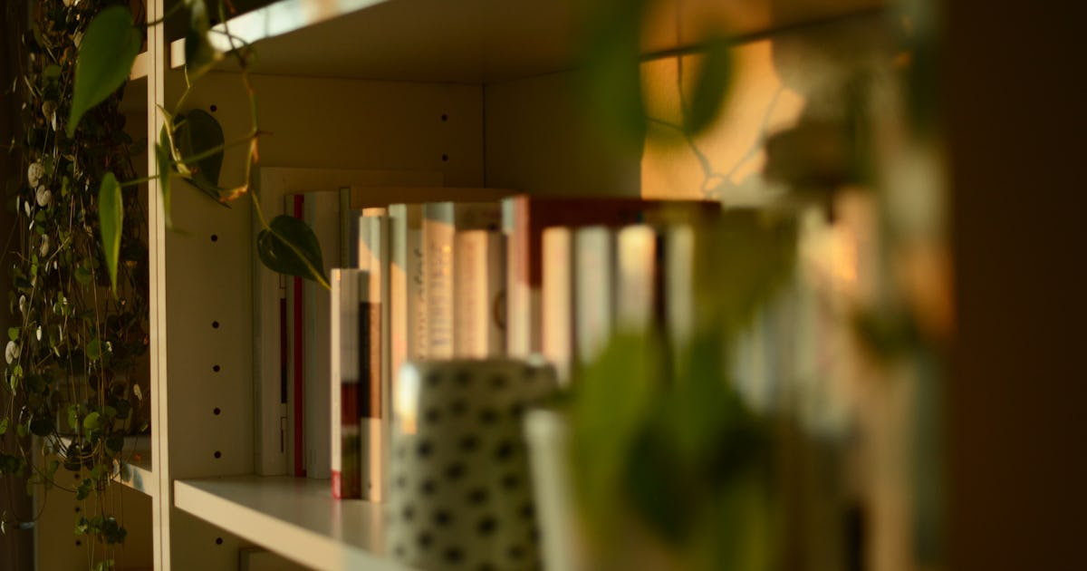 7 Tips For Spring Cleaning Your Bookshelves, Because It's Time To Make ...