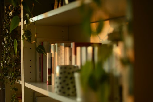 bookshelf decorated with green plants