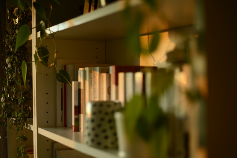 bookshelf decorated with green plants