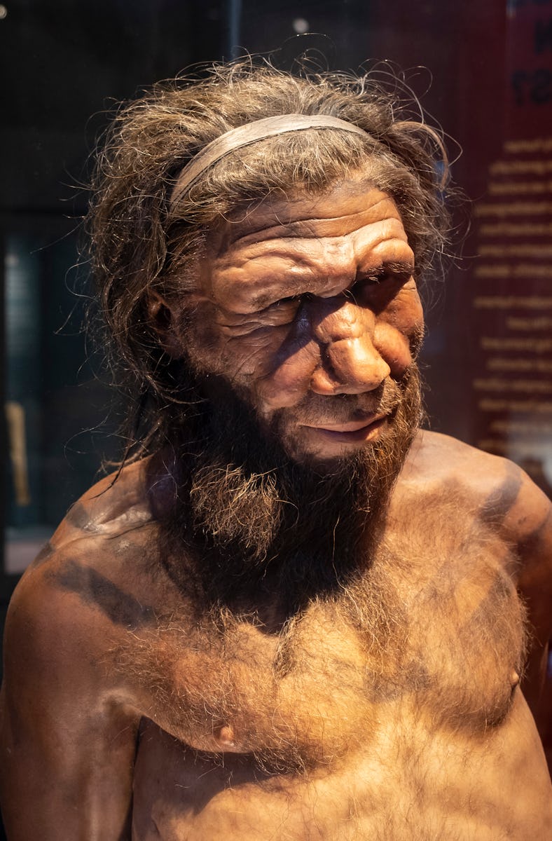 Neanderthal man at the human evolution exhibit at the Natural History Museum on 27th April 2022 in L...