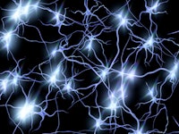 Nerve cells. Computer artwork of nerve cells or neurons firing.