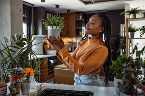 Young African-American woman relaxing at home. She is surrounded by flowers. Woman is holding potted...