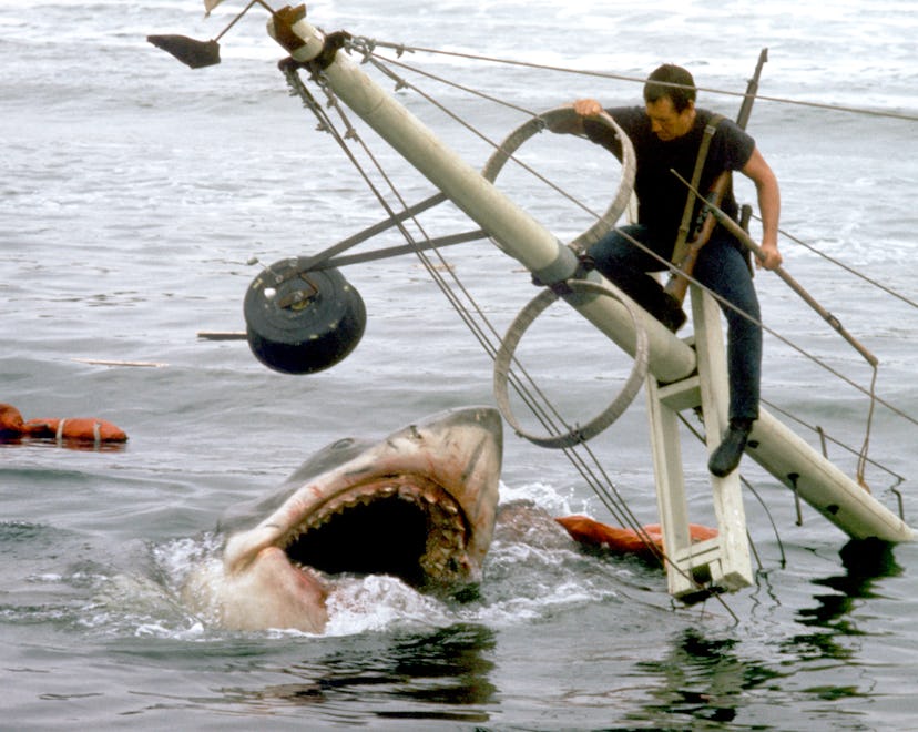 American actor Roy Scheider on the set of Jaws, directed by Steven Spielberg. (Photo by Sunset Boule...