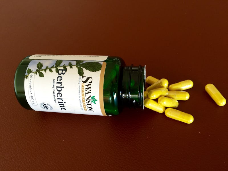 Herbal Supplements Berberine dietary supplement