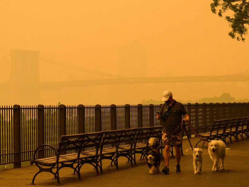 A person walks dogs as smoke from wildfires in Canada cause hazy conditions in New York City on June...
