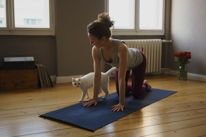 Try cat/cow yoga pose in the morning to kickstart your day.