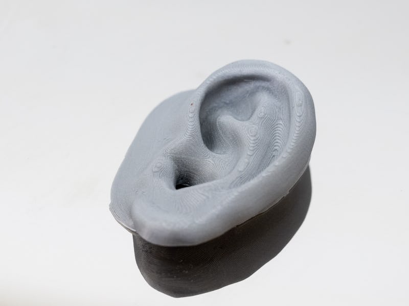 SWANSEA, WALES - JULY 21: A close-up of a 3D printed ear at the Institute of Life Sciences at Swanse...
