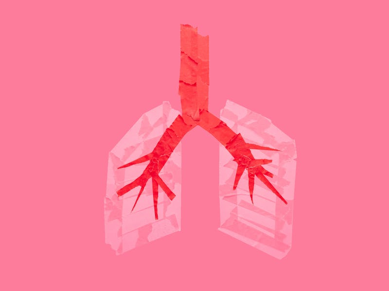 Human lungs