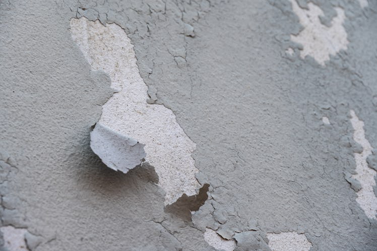 Peeling paint on a wall, potentially exposing lead, a well-known neurotoxin
