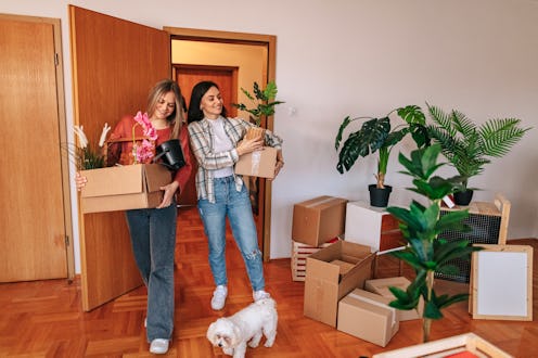 Cheerful friends carrying cardboard boxes with belongings