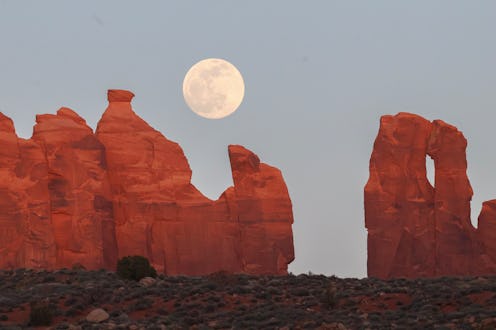 Here are four ways to properly manifest during the Aug. 1 full Sturgeon moon, according to an astrol...