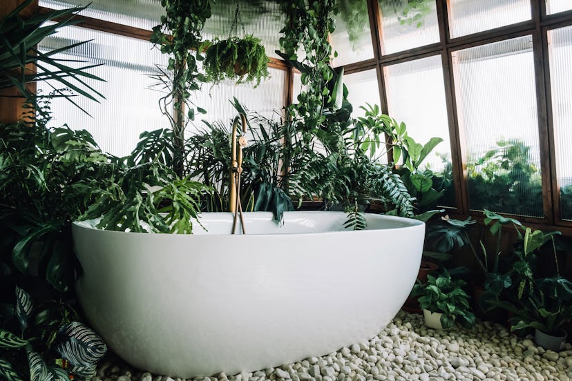 Bathtub in the loft interior bathroom surrounded by plants