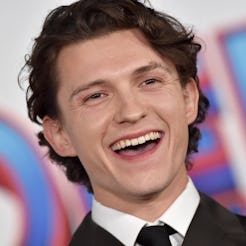 LOS ANGELES, CALIFORNIA - DECEMBER 13: Tom Holland attends Sony Pictures' "Spider-Man: No Way Home" ...