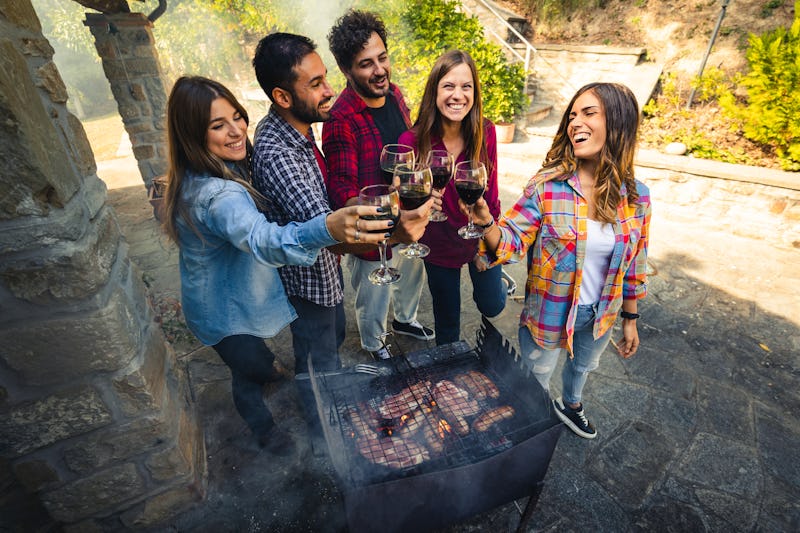 happiness friends toasting with wine during the bbq