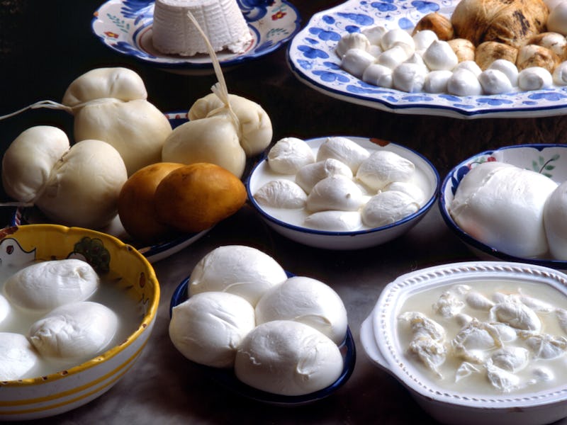 Plates with mozzarella di bufala. Campania. Italy. (Photo by: Adriano Bacchella/REDA&CO/Universal Im...