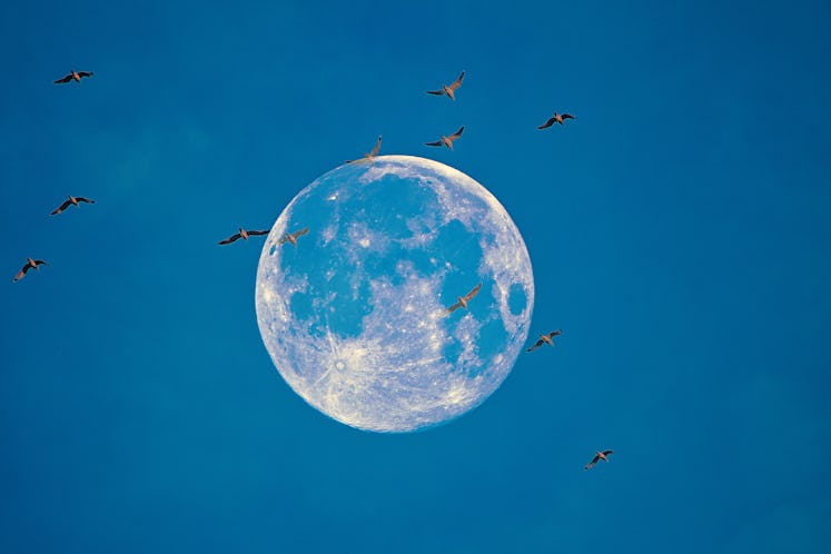 the August 30, 2023 super blue moon in Pisces