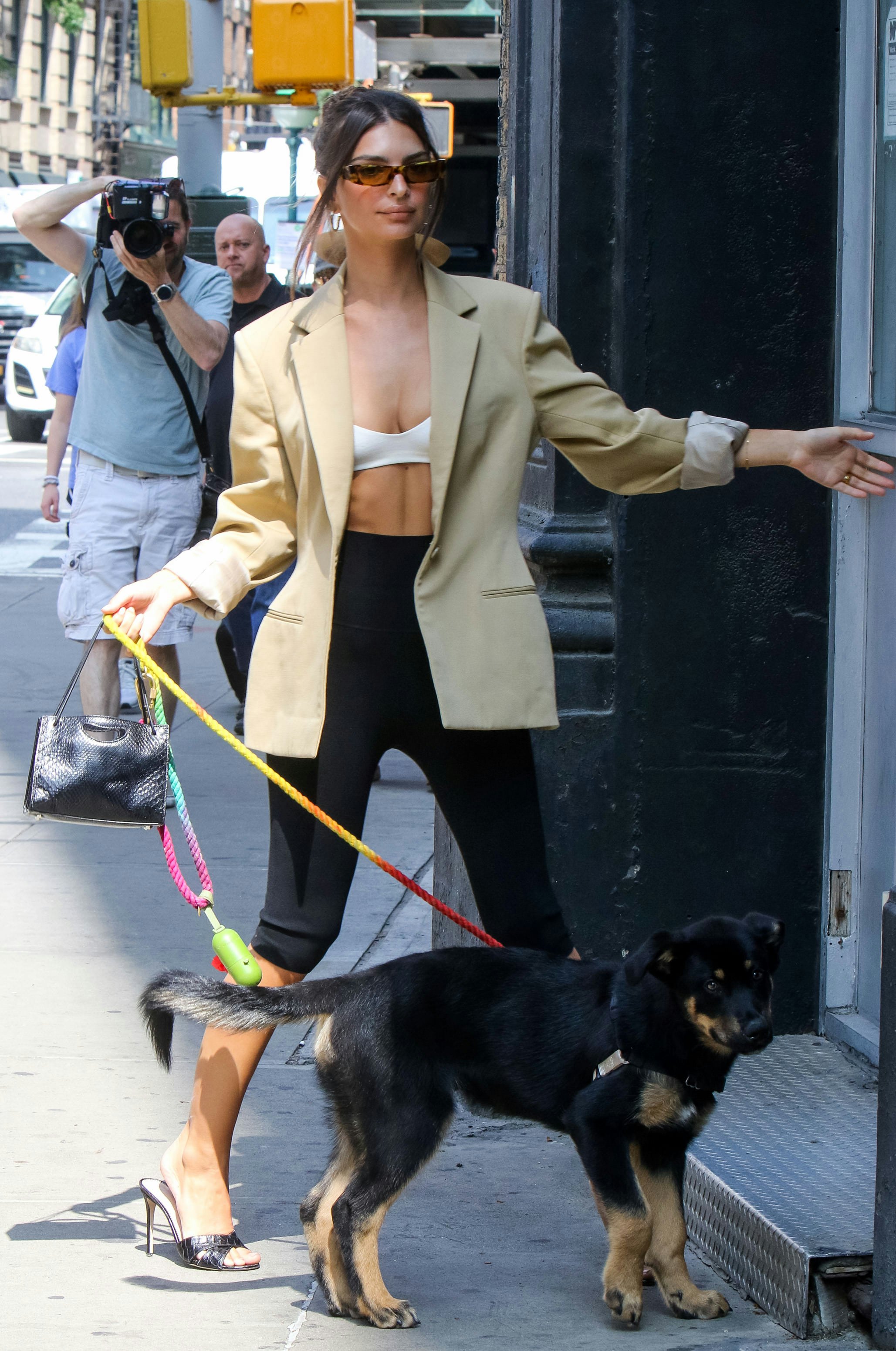Emily Ratajkowski's Dog-Walking Outfits Deserve A Closer Look