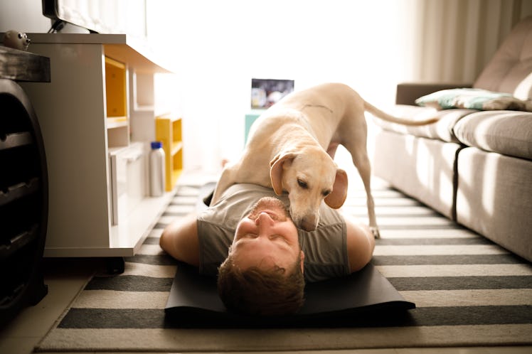 Dog licking his owner during exercise