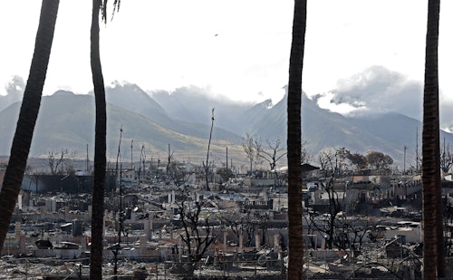 Justin Sullivan/Getty Images News/Getty Images