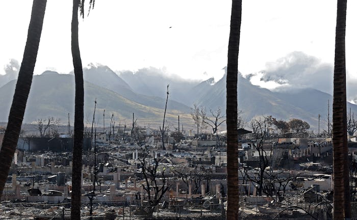LAHAINA, HAWAII - AUGUST 16: A view of a neighborhood that was destroyed by a wildfire on August 16,...