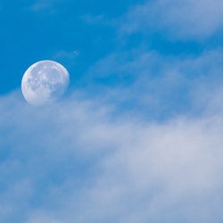 The August 30 full moon mostly affects these four zodiac signs. 