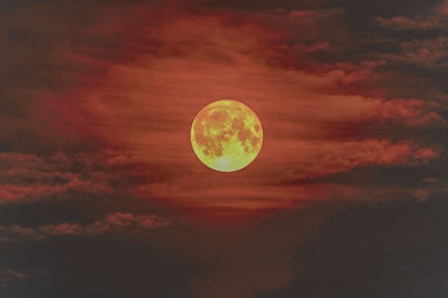 Here's how the August full moon will affect each zodiac sign, according to an astrologer.