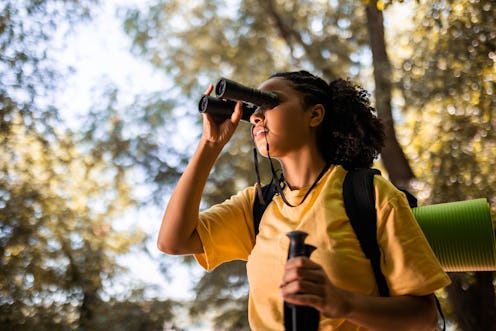 Why TikTok is obsessed with birdwatching. Why is everyone suddenly into birdwatching?