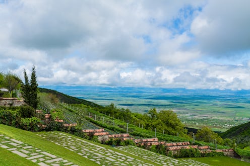 georgia wine country