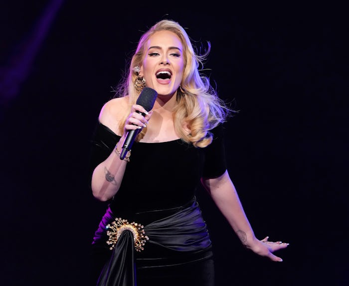 Adele defended a concertgoer in Las Vegas.