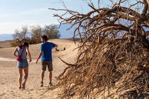 Francine Orr/Los Angeles Times/Getty Images