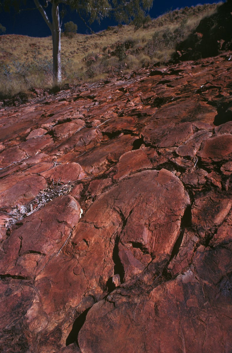 Pillow basalt, 3.5 billion years old, from submarine lava flow: when the lava erupted into the ancie...