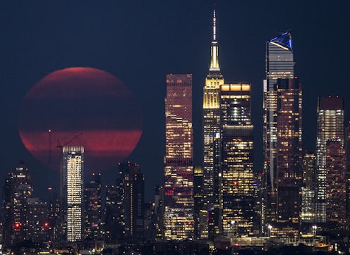 Channel the August new moon's hedonistic spirit with dos and don'ts.