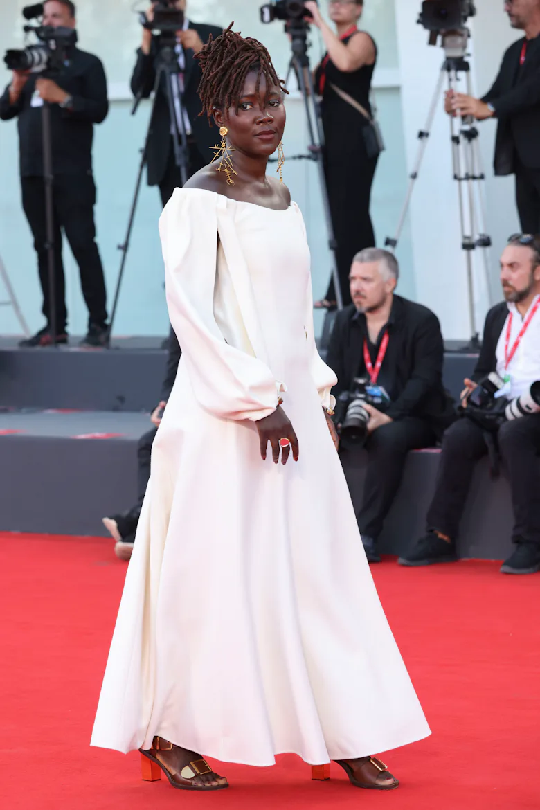Venice Film Festival Red Carpet 2023: See The Best Dressed