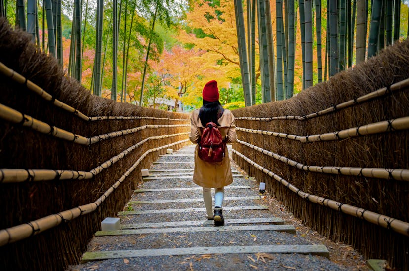 Woman traveler tourist in action of walking mind step on the row of autumn leaf season change