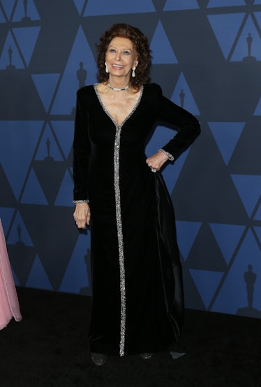 Sophia Loren arrives to the Academy of Motion Picture Arts and Sciences' 11th Annual Governors Award...