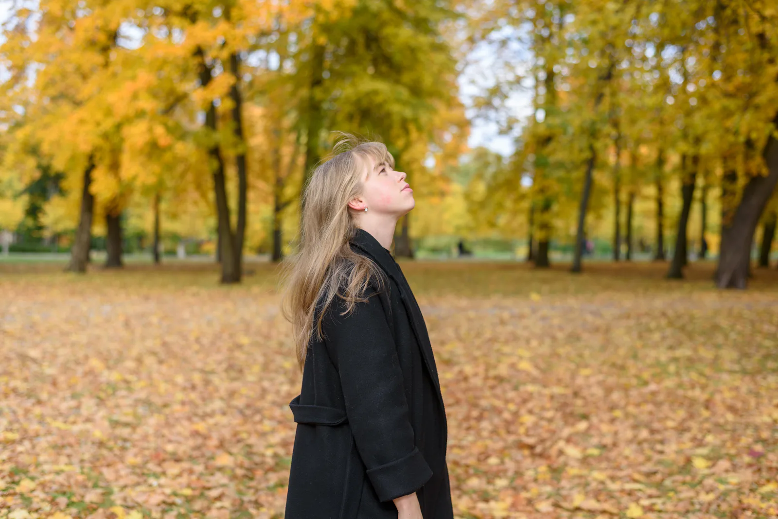 Fall Spititual Autumnal Equinox 2023βs Spiritual Meaning, Explained