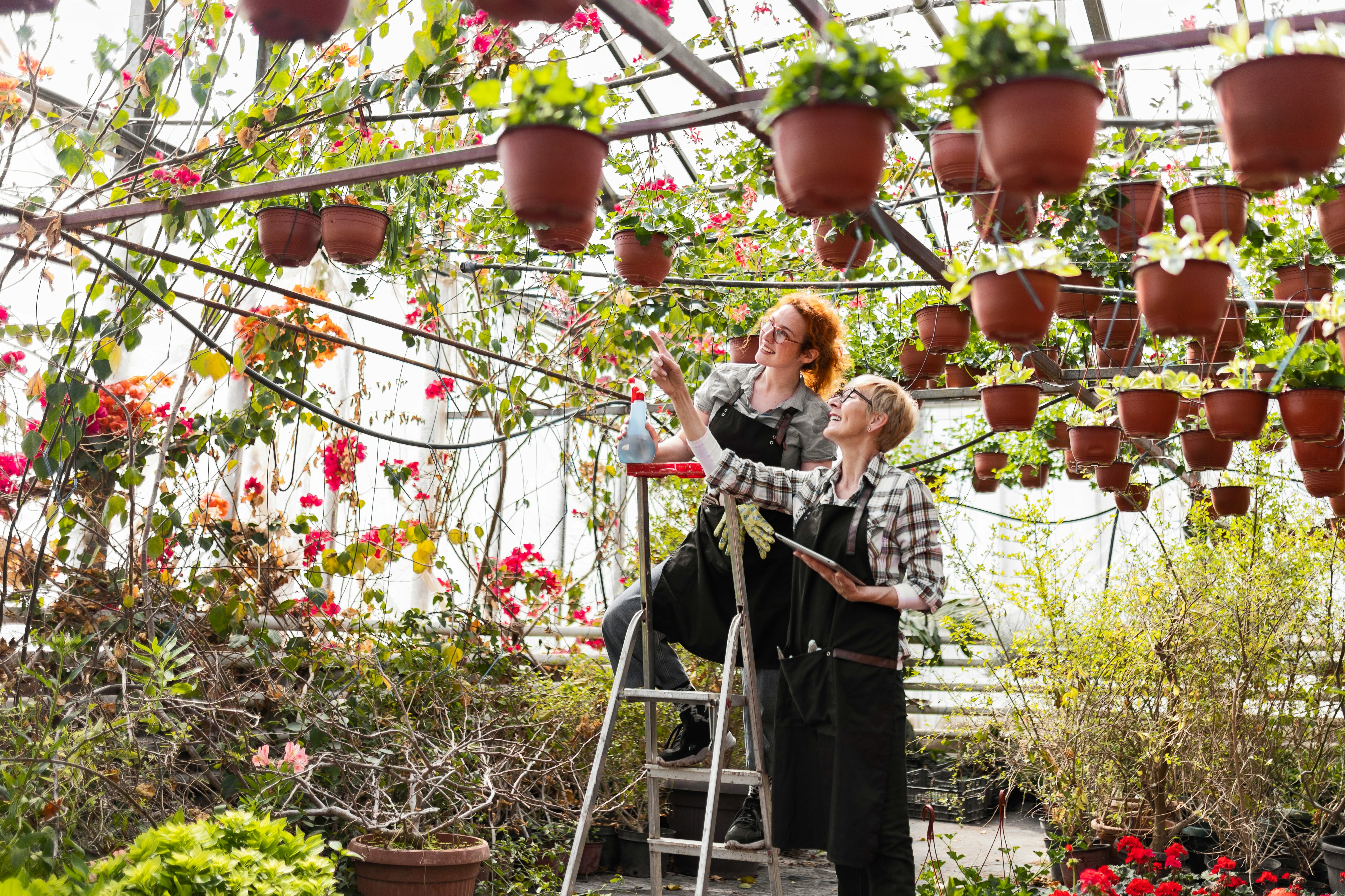 Virgo&rsquo;s dream splurge purchase is a greenhouse or farm.