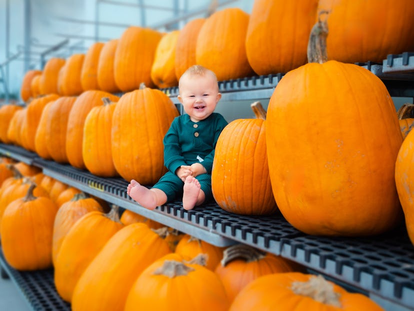 Little boy sitting on a shelf between orange pumpkins