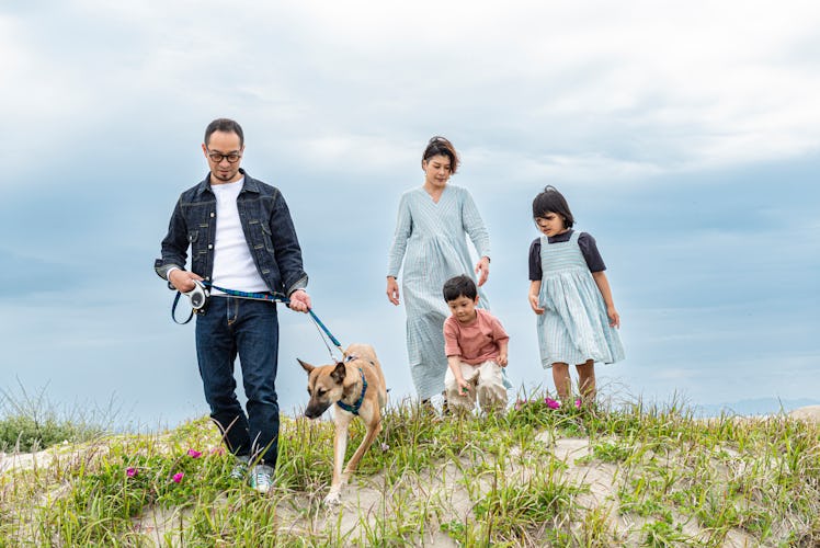 A dad, mom, daughter and son walking their dog on a hill by the sea.