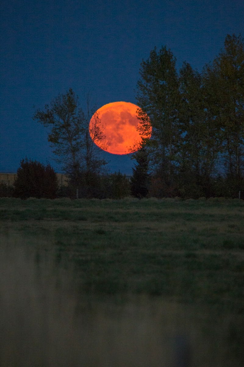 September 2023’s Full Harvest Moon Spiritual Meaning