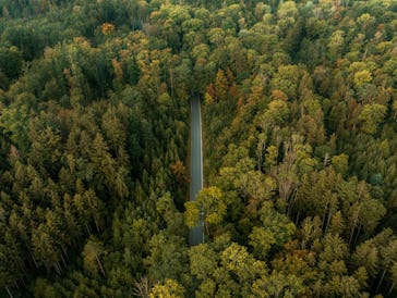 Drone shot with an empty single lane road passing through the Black Forest, in Germany