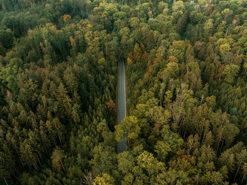 Drone shot with an empty single lane road passing through the Black Forest, in Germany
